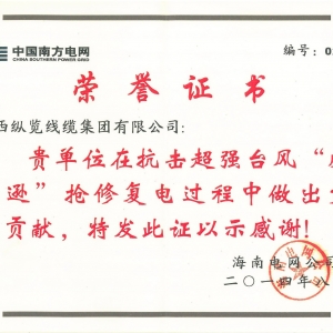 海南電網突出貢獻 獎