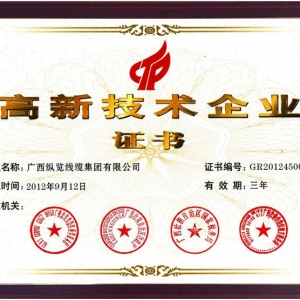 高新技術企業證書