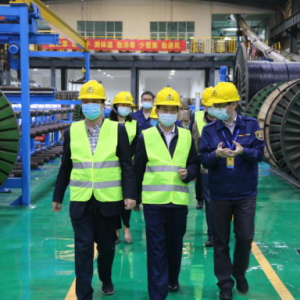 熱烈歡迎南寧市市場監督管理局領導蒞臨縱覽集團檢查指導工作 ...