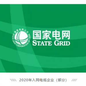 祝賀縱覽線纜集團成功進入國家電網供應商名錄，成為廣西唯一一家進入國網的電線電纜供 ...