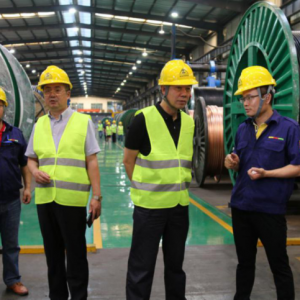 上海電纜研究所行業專家蒞臨縱覽集團調研指導