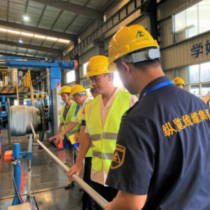 粵桂兩省區統戰部、工商聯領導蒞臨縱覽集團檢查指導工作