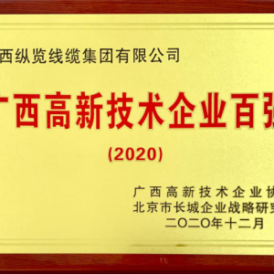 縱覽線纜集團入選“2020年廣西高新技術企業百強”榜單