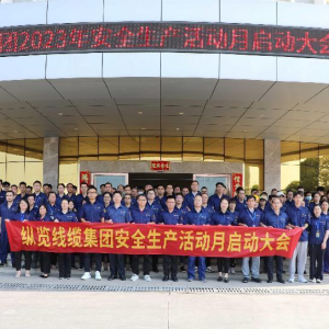 “人人講安全  個個會應急” ——縱覽線纜集團2023年度安全生產活動月正式啟動