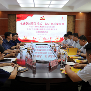 推進卓越績效模式  助力高質量發展 ——縱覽線纜集團黨支部與廣西北港新材料有限公司質量黨支部開展主題共建活動