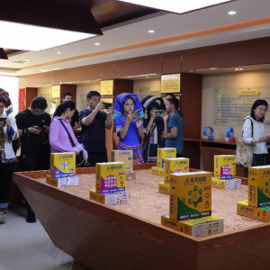 自治區(qū)網(wǎng)信辦組織網(wǎng)絡(luò)名人走進縱覽線纜集團采風(fēng)