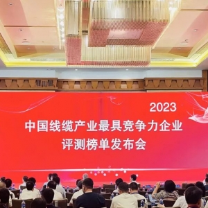 中國線纜產(chǎn)業(yè)最具競爭力企業(yè)100強發(fā)布：縱覽線纜連續(xù)五年上榜！