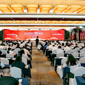 再傳喜訊！縱覽線纜集團成為廣西線纜行業(yè)唯一上榜廣西民營企業(yè)100強、廣西民營企業(yè)制造業(yè)100強企業(yè)