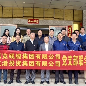黨建引領聚合力 聯(lián)建共建促發(fā)展|縱覽線纜集團與航港投資集團開展聯(lián)學聯(lián)建黨建活動